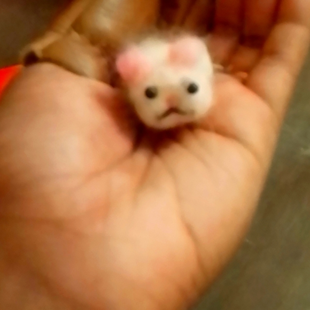 🐹 Hamster